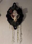 cat-skull