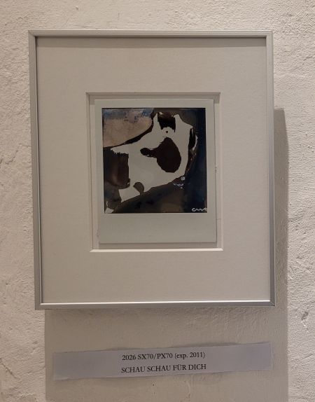bild16